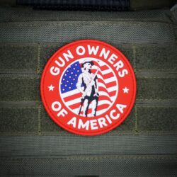 GOA Seal Logo Magnet