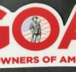 GOA Logo Computer Die Cut Sticker