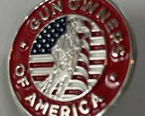 GOA Lapel Pin