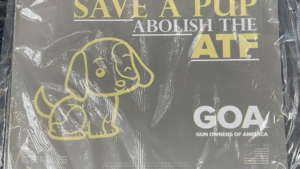 Save - A - Pup Gun Mat